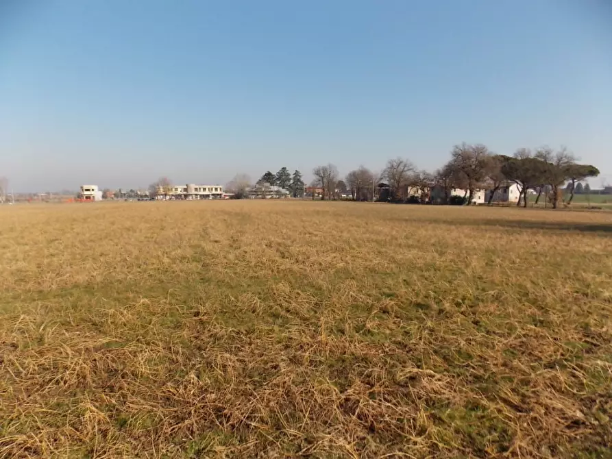 Immagine 7 di Terreno in vendita  in Via Provinciale a Valsamoggia