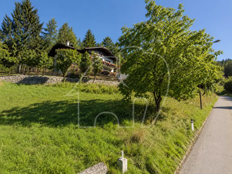 Immagine 2 di Terreno in vendita  a Borgo D'anaunia