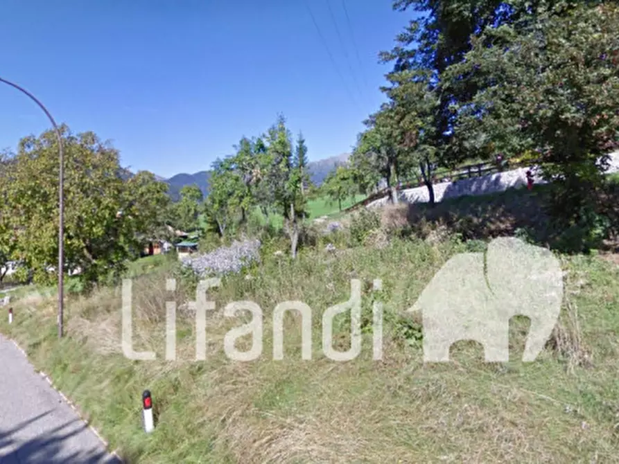 Immagine 3 di Terreno in vendita  a Borgo D'anaunia