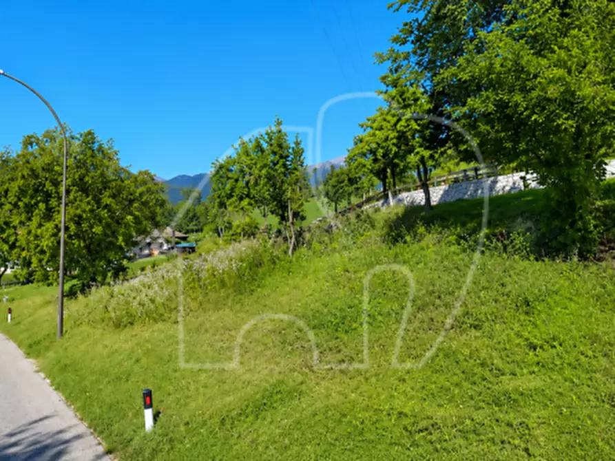 Immagine 4 di Terreno in vendita  a Borgo D'anaunia
