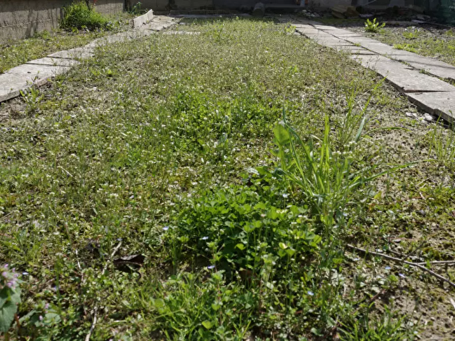 Immagine 33 di Villetta a schiera in vendita  in Via Trai a Colorno