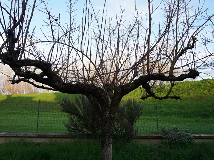 Immagine 16 di Appartamento in vendita  in Strada Baganzola, 208 a Parma