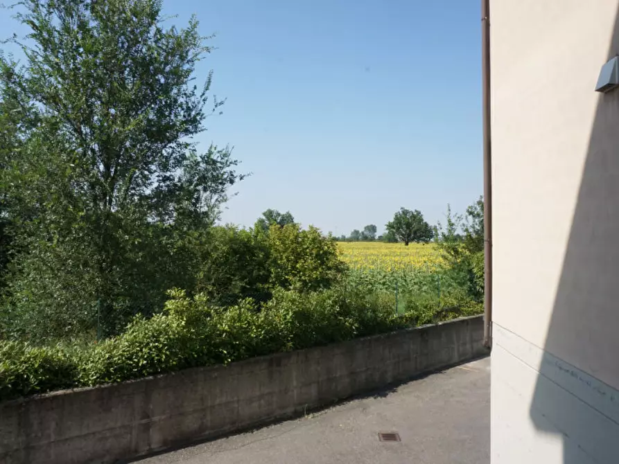 Immagine 16 di Appartamento in affitto  in Via Napoli, 4 a Colorno