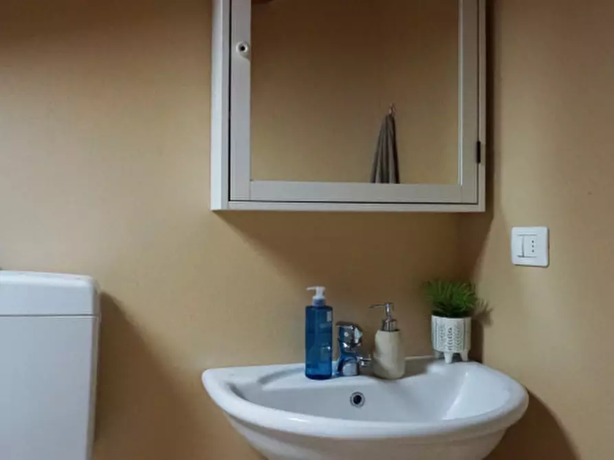 Immagine 36 di Appartamento in vendita  in Via Robuschi, 2 a Colorno