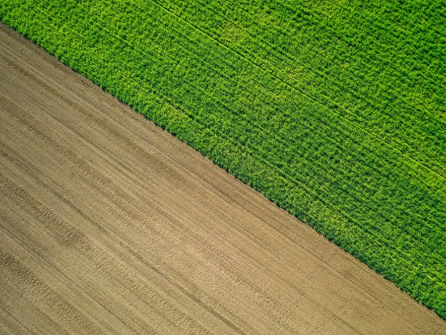 Immagine 2 di Terreno in vendita  in Borro barulli a San Giovanni Valdarno