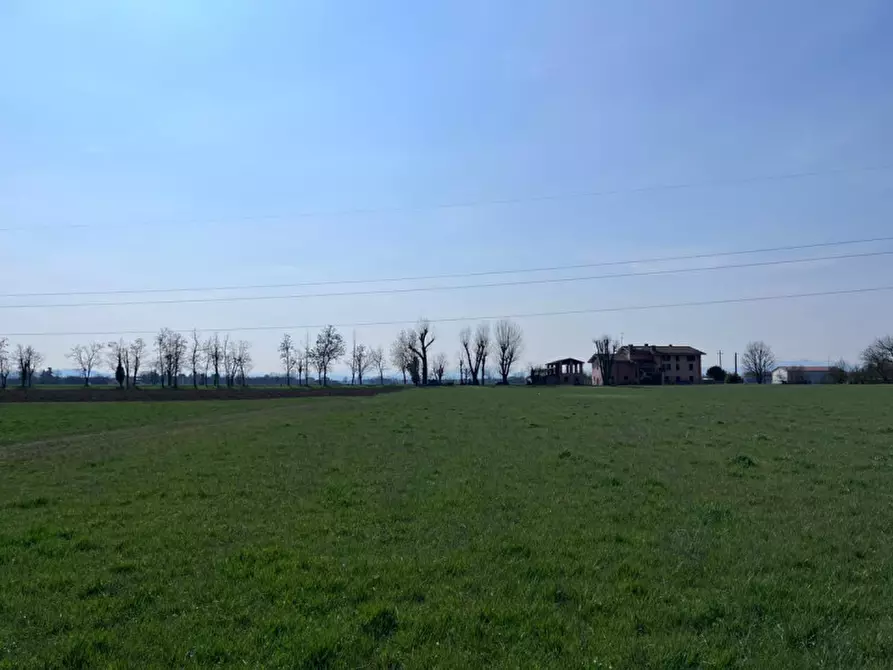 Immagine 7 di Casa trifamiliare in vendita  in Martorano a Montechiarugolo