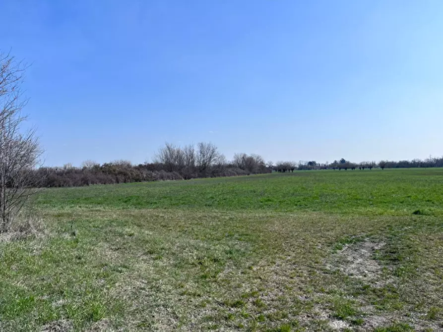 Immagine 8 di Casa trifamiliare in vendita  in Martorano a Montechiarugolo