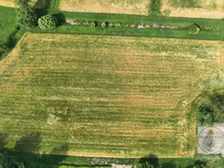 Immagine 2 di Terreno in vendita  in via prossima a Baone