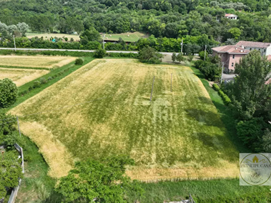 Immagine 3 di Terreno in vendita  in via prossima a Baone
