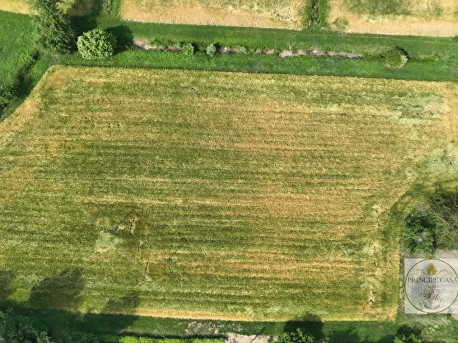 Immagine 5 di Terreno in vendita  in via prossima a Baone