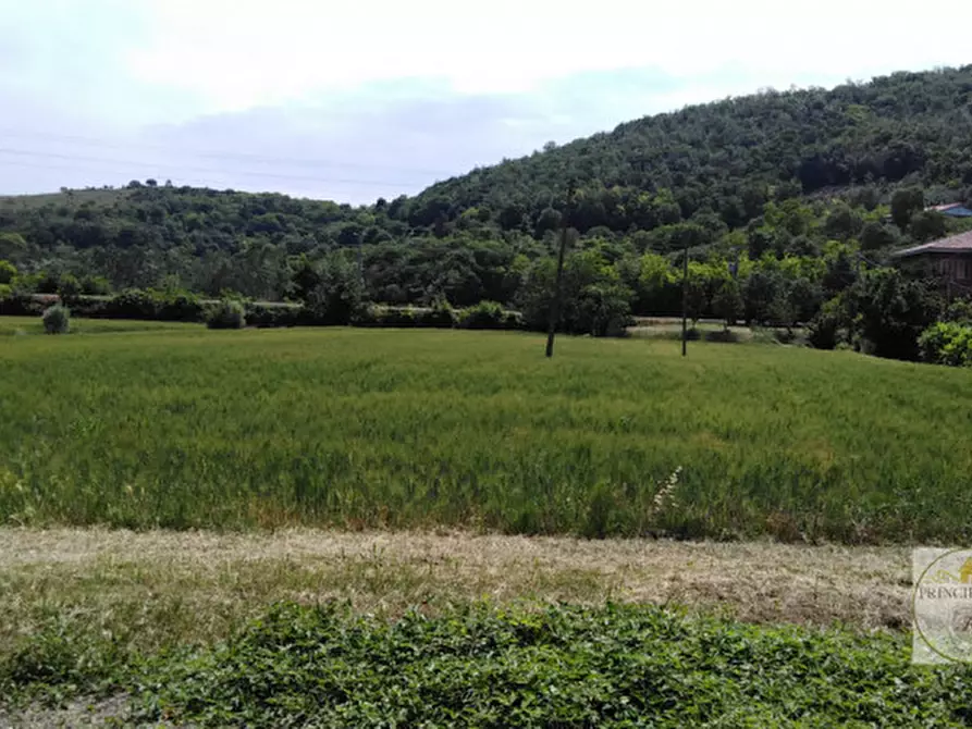 Immagine 8 di Terreno in vendita  in via prossima a Baone