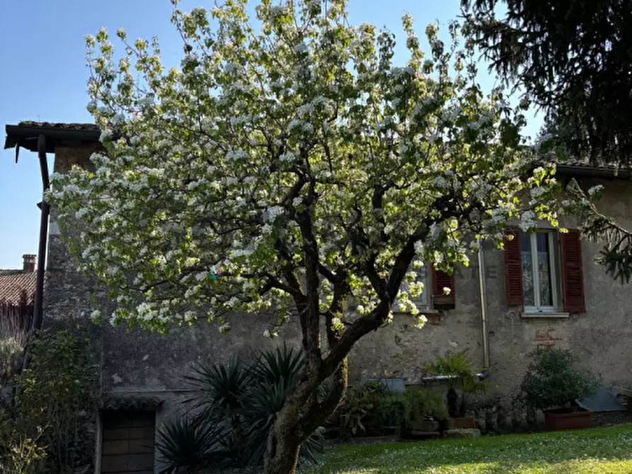 Immagine 6 di Appartamento in vendita  a Padenghe Sul Garda