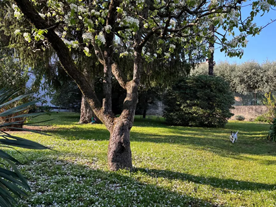 Immagine 8 di Appartamento in vendita  a Padenghe Sul Garda