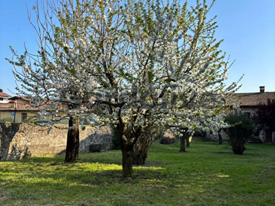Immagine 14 di Appartamento in vendita  a Padenghe Sul Garda