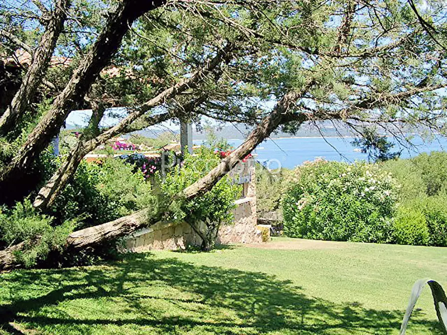 Immagine 2 di Villa in affitto  in via Porto Rotondo a Olbia