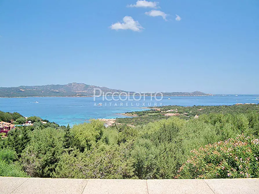 Immagine 5 di Villa in affitto  in via Porto Rotondo a Olbia