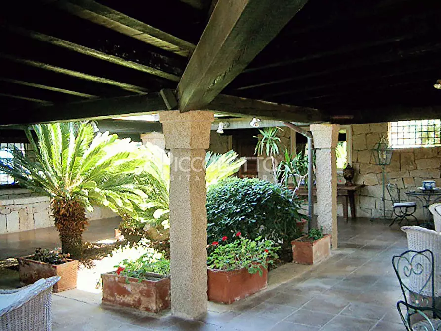 Immagine 14 di Villa in affitto  in via Porto Rotondo a Olbia