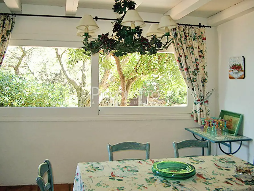 Immagine 16 di Villa in affitto  in via Porto Rotondo a Olbia