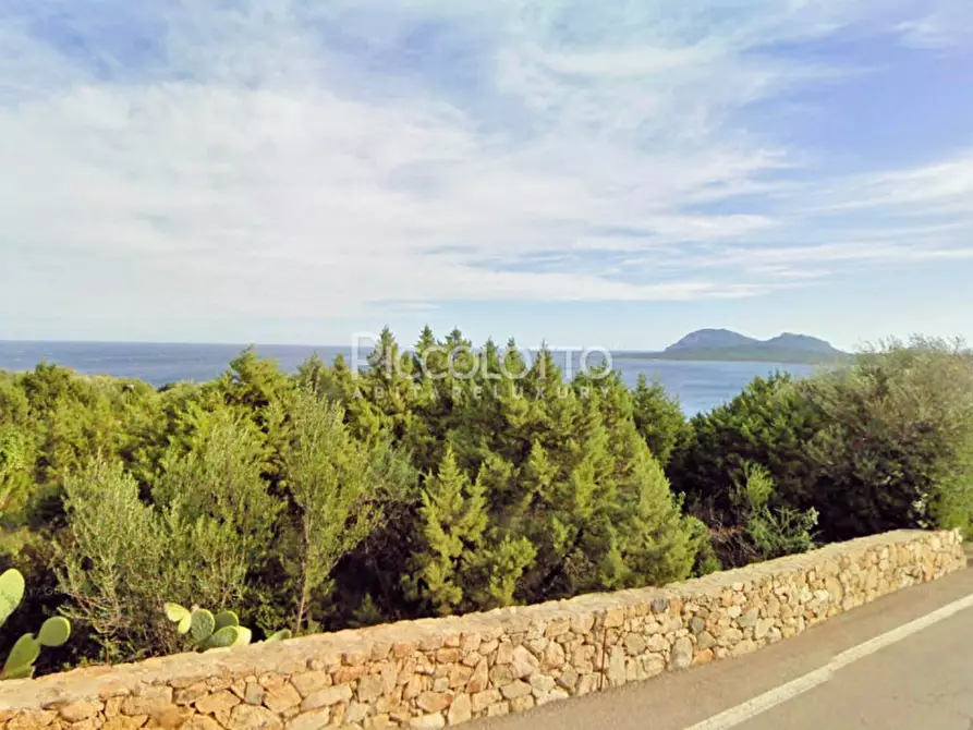 Immagine 24 di Villa in affitto  in via Porto Rotondo a Olbia