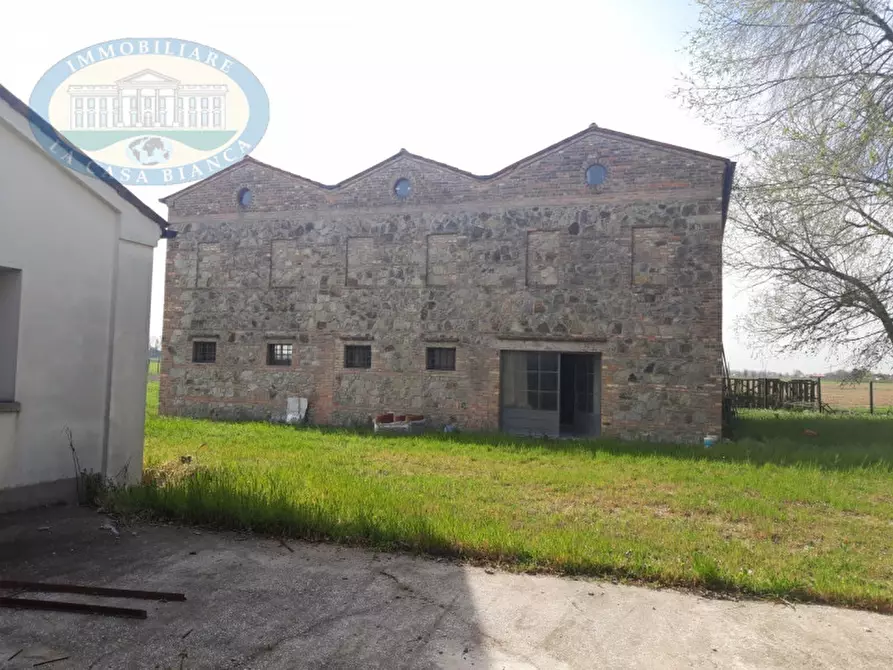 Immagine 2 di Casa indipendente in vendita  a San Pietro Viminario