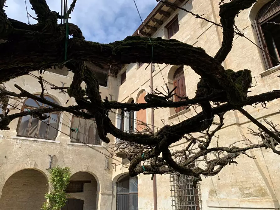 Immagine 56 di Villa in vendita  in Borgo San Giovanni 1 a Portogruaro