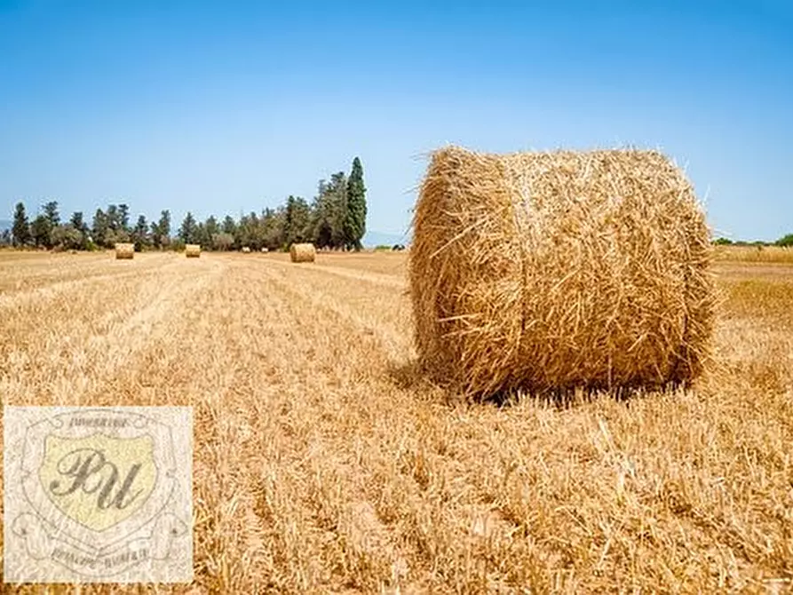 Immagine 2 di Terreno in vendita  in Via Raise a Monselice