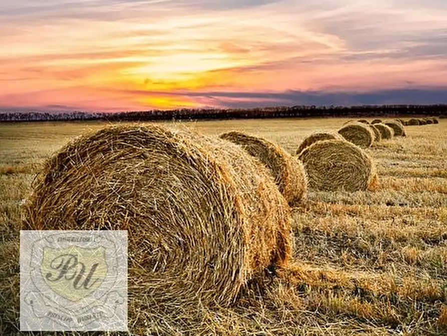 Immagine 3 di Terreno in vendita  in Via Raise a Monselice