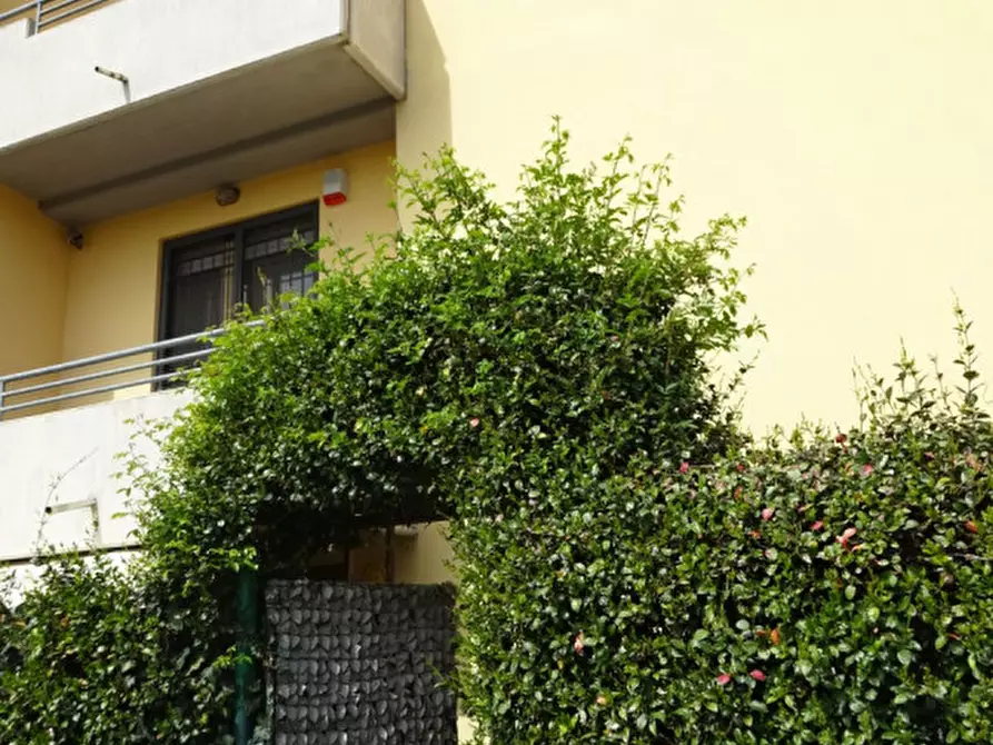 Immagine 1 di Appartamento in vendita  in Via Ulivi, 1 a Torrile