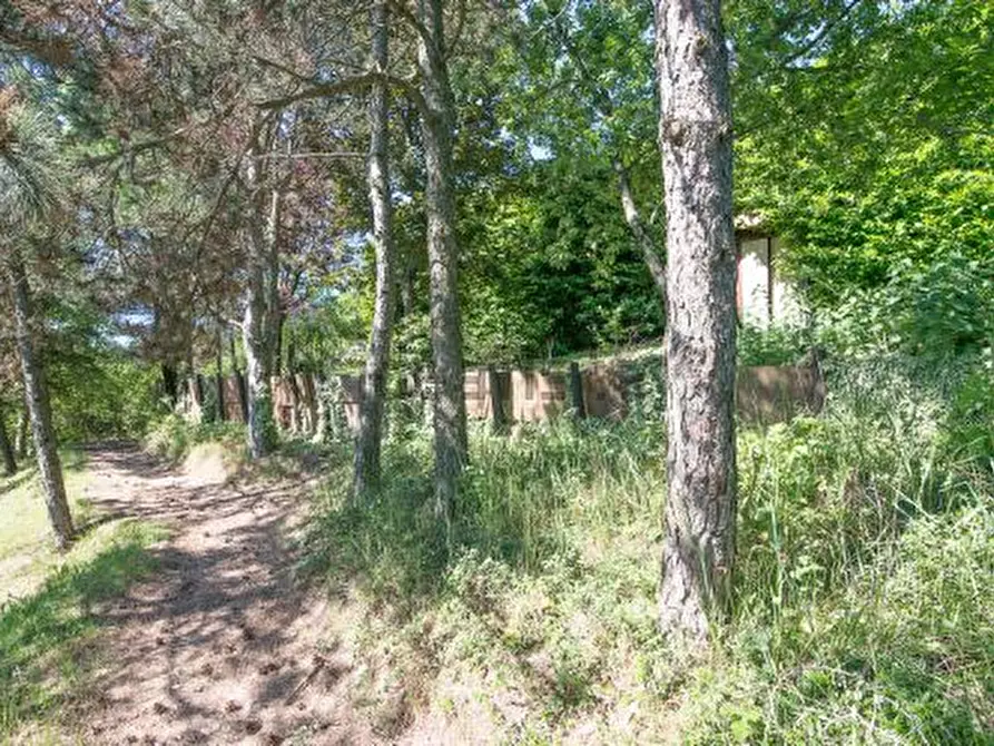 Immagine 29 di Villa in vendita  in Fortunago a Fortunago
