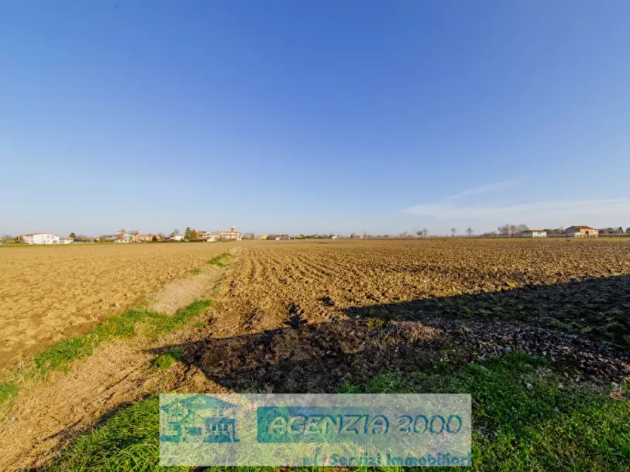 Immagine 2 di Terreno in vendita  a Anguillara Veneta