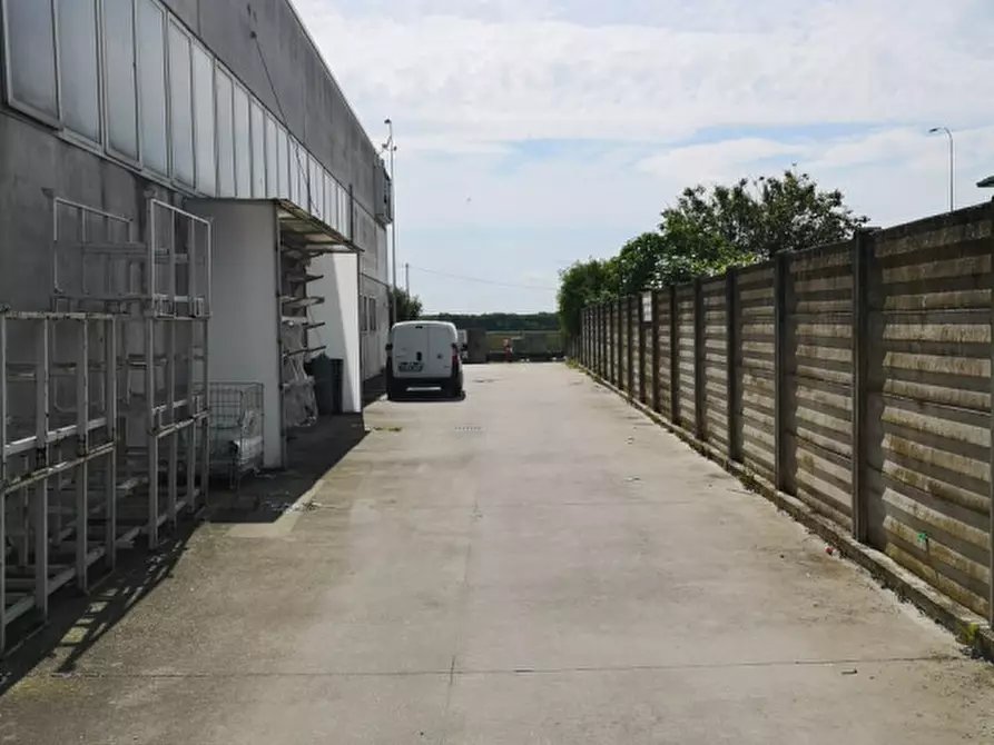 Immagine 6 di Capannone industriale in affitto  in VIA DELLE INDUSTRIE a Sant'elena