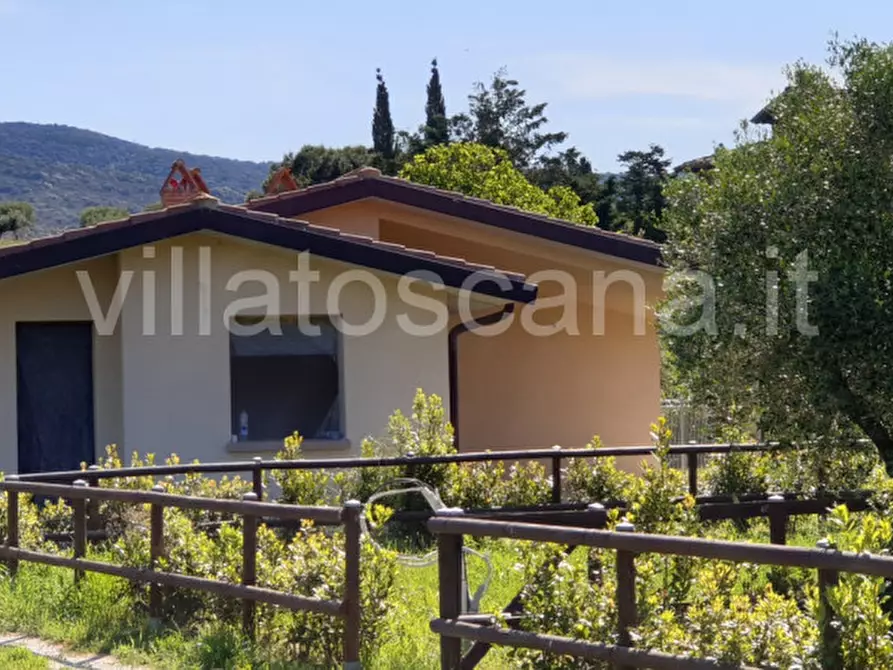 Immagine 3 di Casa bifamiliare in vendita  a Castiglione Della Pescaia