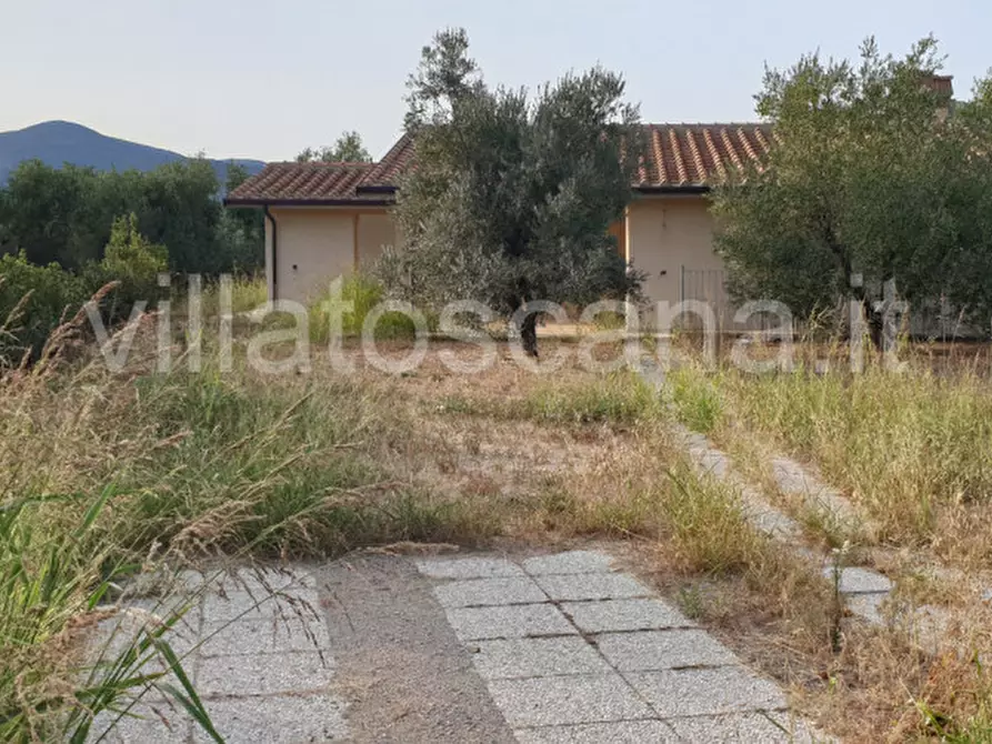 Immagine 5 di Casa bifamiliare in vendita  a Castiglione Della Pescaia