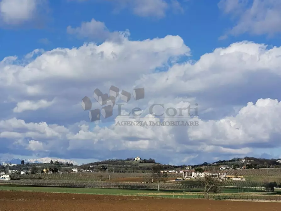 Immagine 2 di Terreno in vendita  a Lonigo