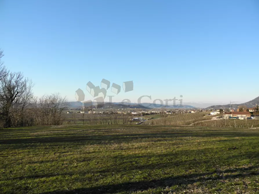 Immagine 3 di Terreno in vendita  a Lonigo