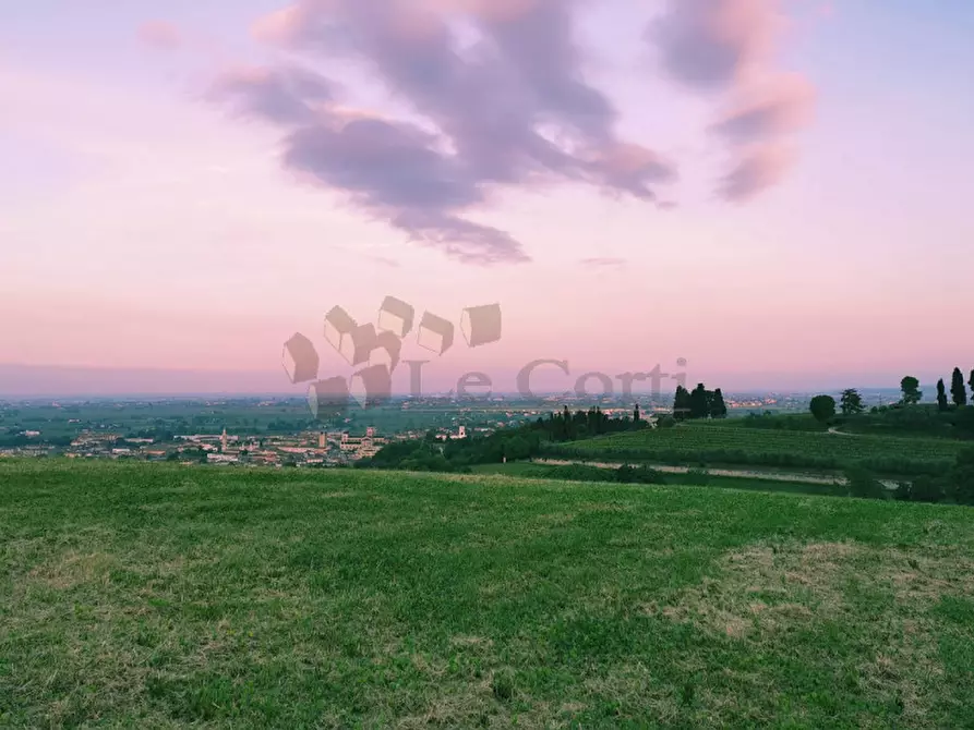 Immagine 4 di Terreno in vendita  a Lonigo
