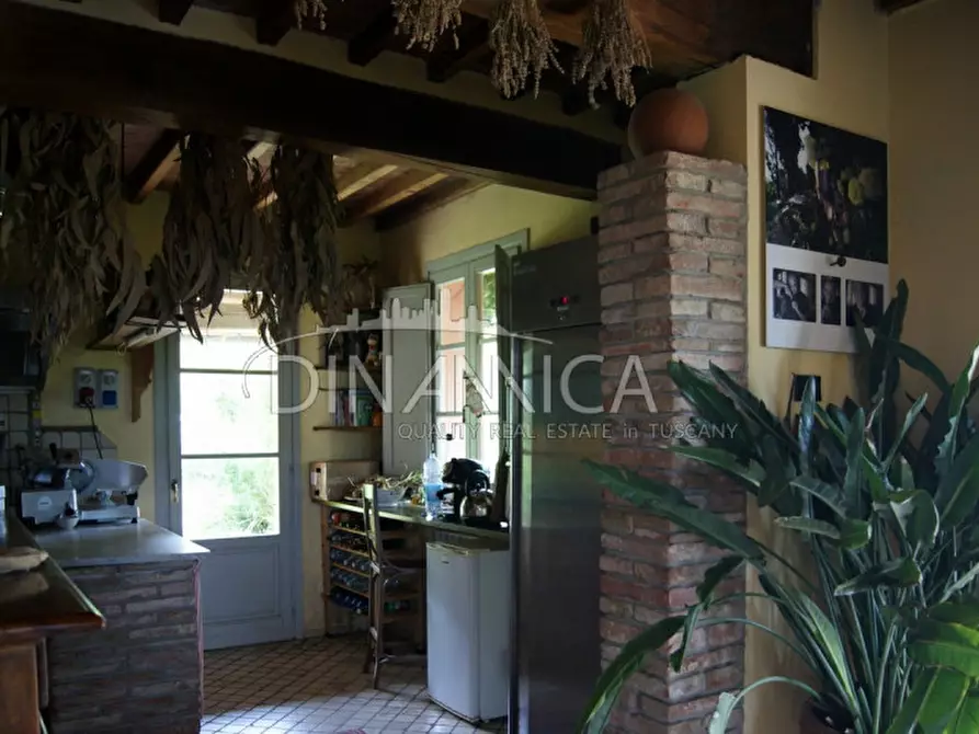 Immagine 23 di Rustico / casale in vendita  a Palaia