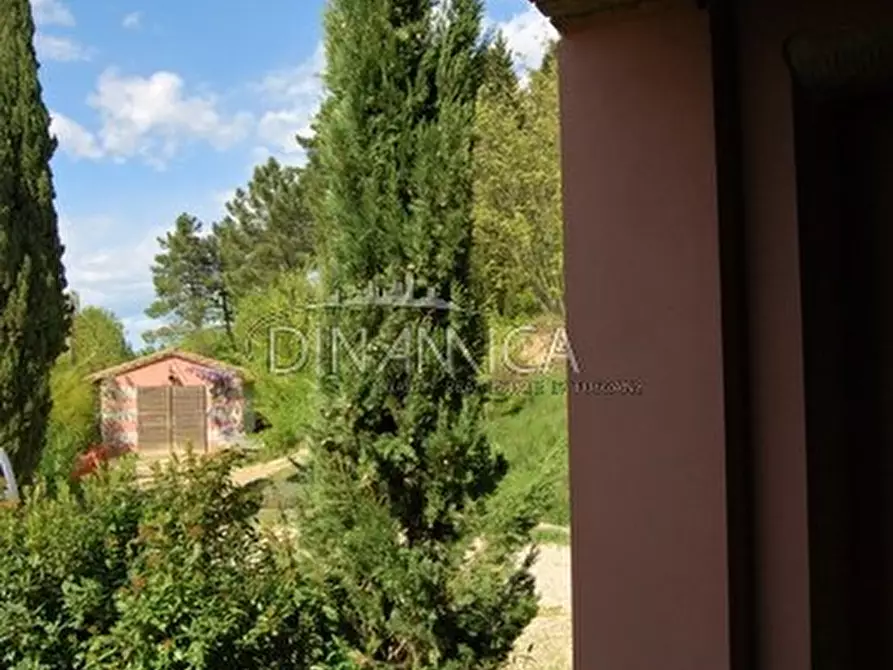 Immagine 25 di Rustico / casale in vendita  a Palaia