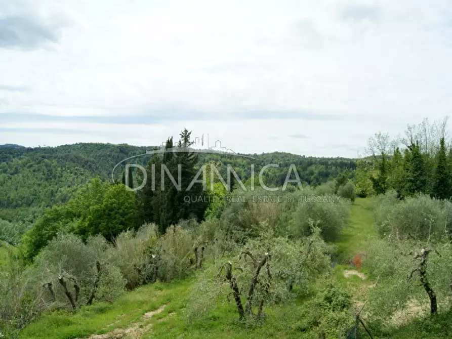 Immagine 27 di Rustico / casale in vendita  a Palaia