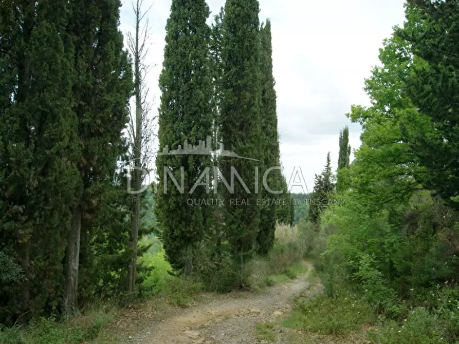 Immagine 31 di Rustico / casale in vendita  a Palaia