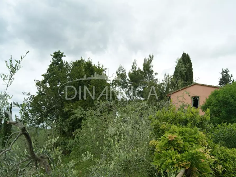 Immagine 33 di Rustico / casale in vendita  a Palaia