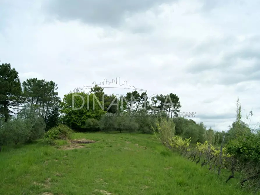 Immagine 34 di Rustico / casale in vendita  a Palaia