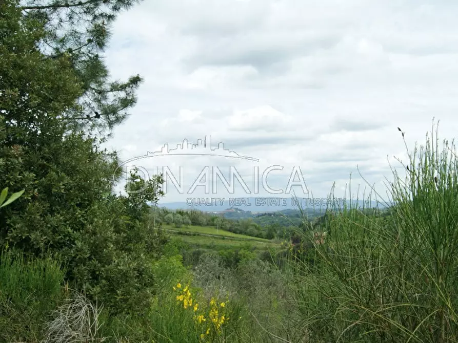 Immagine 37 di Rustico / casale in vendita  a Palaia