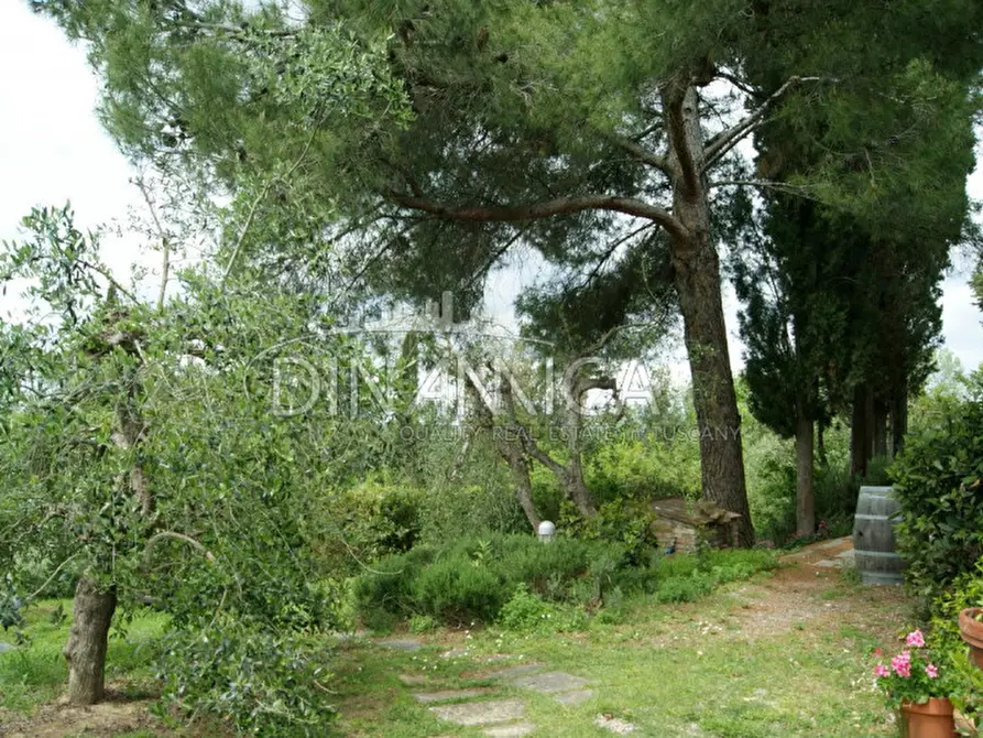 Immagine 38 di Rustico / casale in vendita  a Palaia