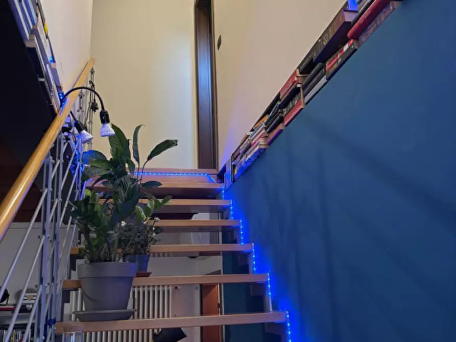 Immagine 17 di Appartamento in vendita  a Badia Polesine