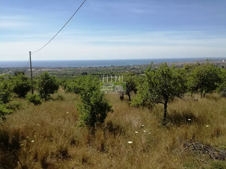 Immagine 2 di Terreno in vendita  in C/da Petrara Rociola a Avola