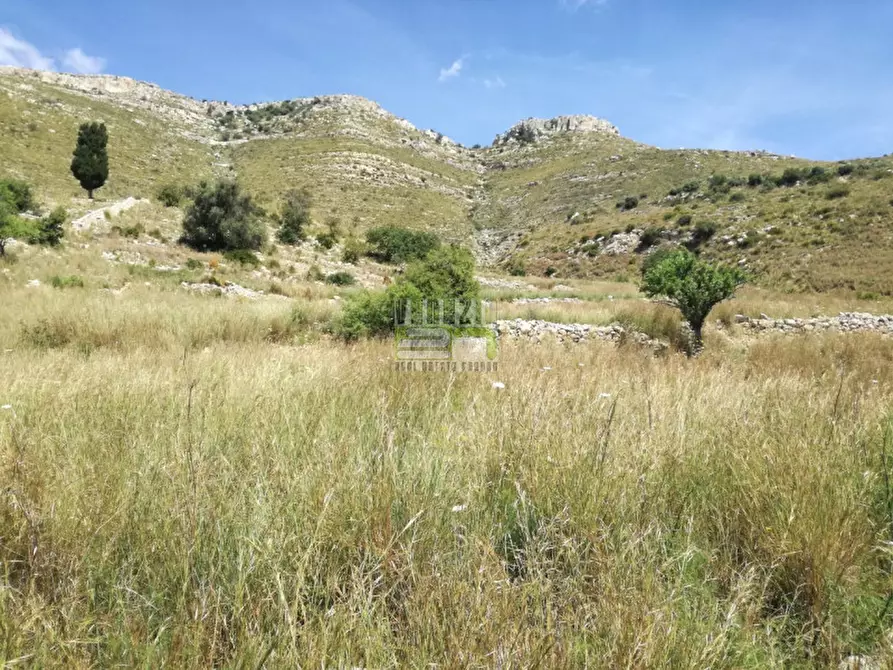 Immagine 3 di Terreno in vendita  in C/da Petrara Rociola a Avola