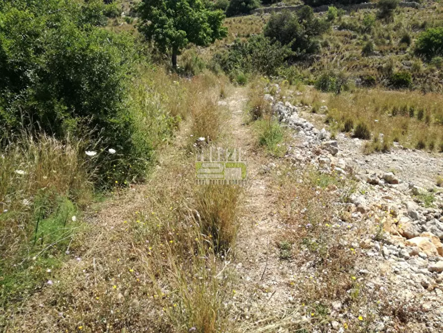 Immagine 4 di Terreno in vendita  in C/da Petrara Rociola a Avola