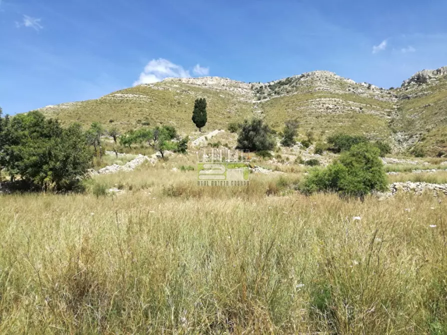 Immagine 5 di Terreno in vendita  in C/da Petrara Rociola a Avola