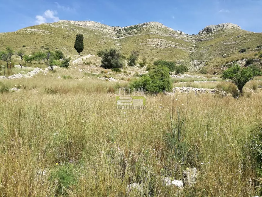 Immagine 6 di Terreno in vendita  in C/da Petrara Rociola a Avola